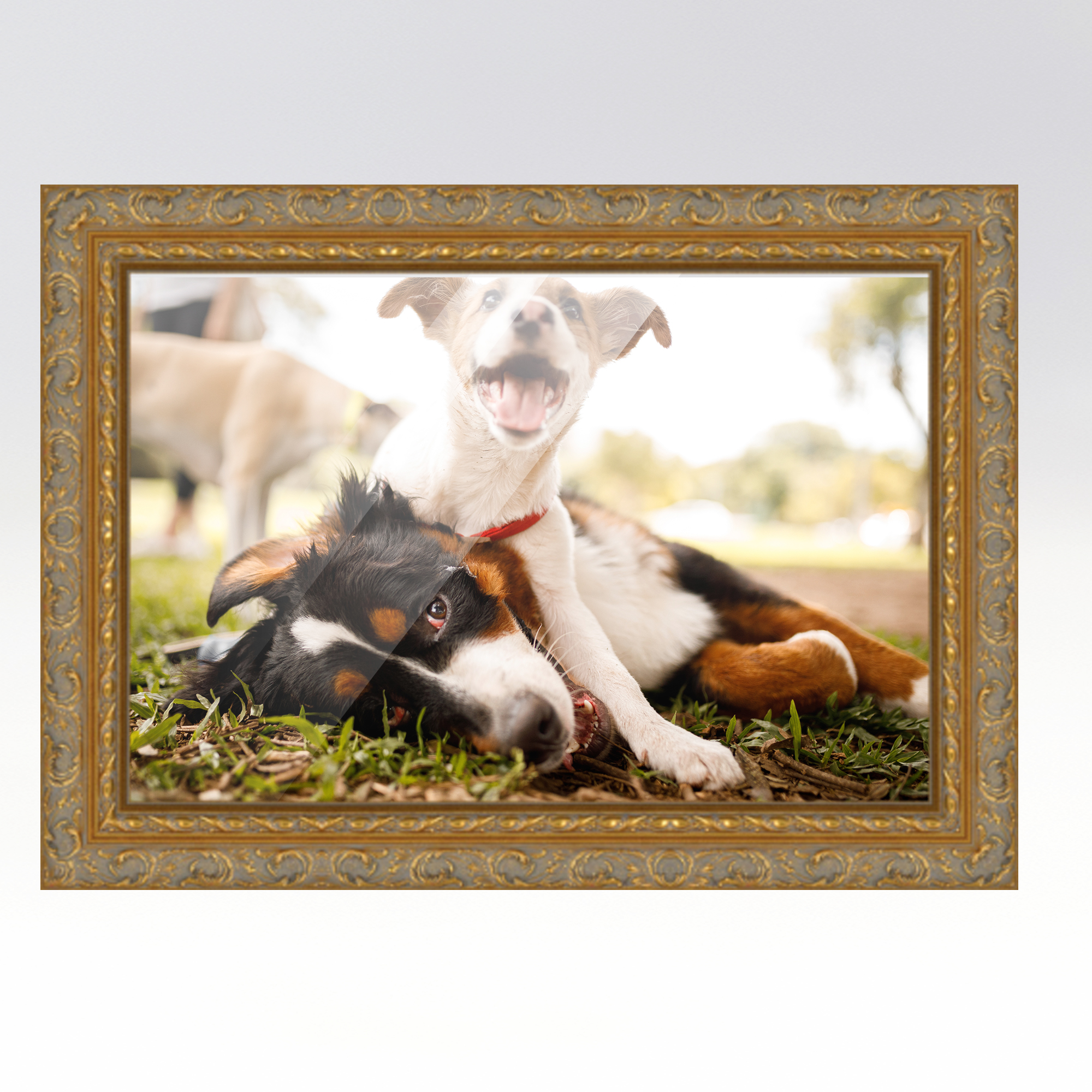 24x30 Frame Gold Real Wood Picture Frame Width 2 inches | Interior Frame  Depth 0.5 inches | Firman